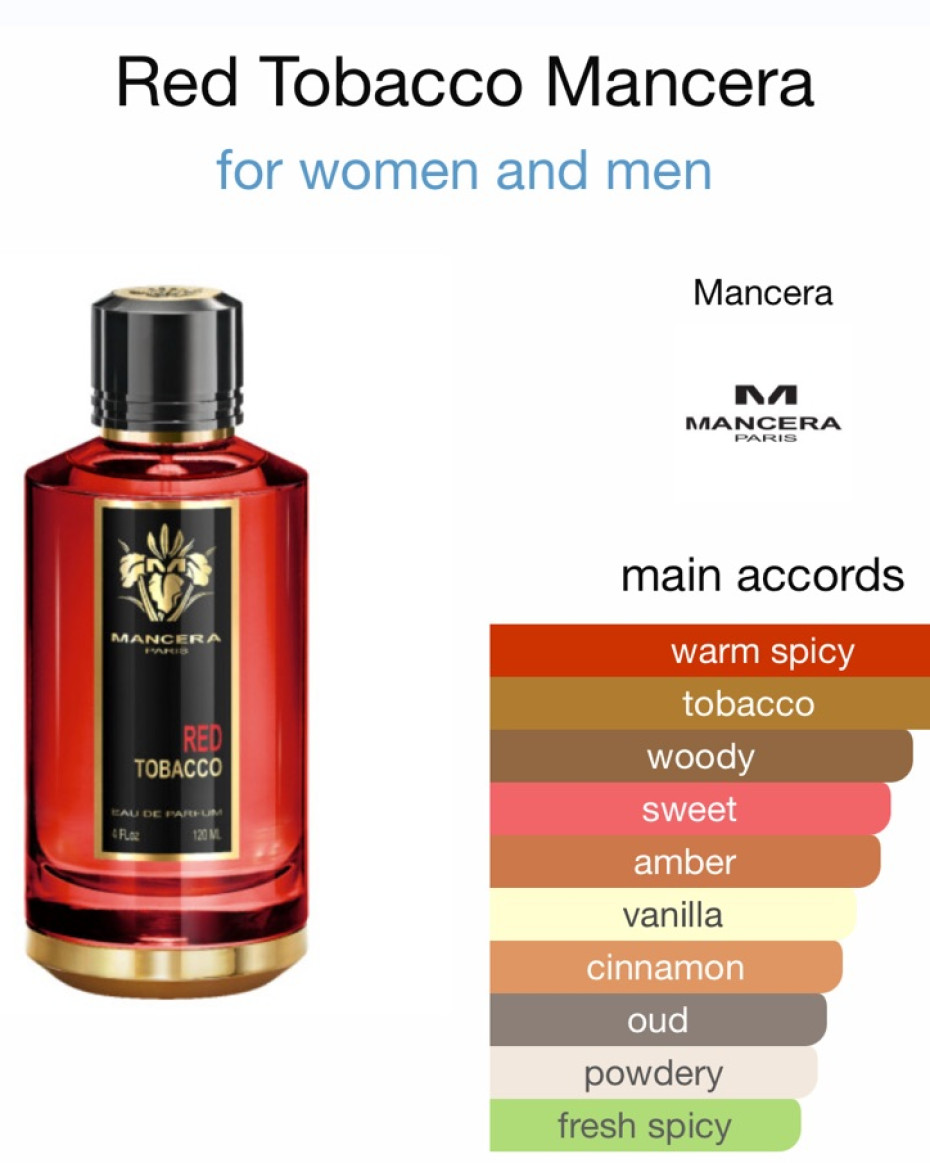 armani tobacco eye tint Giorgio Armani Eye Tints - Onyx, Cold Copper, Senso, Rose Ashes and Gold Ashes armani tobacco eye tint Giorgio Armani Eye Tints - Onyx, Cold Copper, Senso, Rose Ashes and Gold Ashes