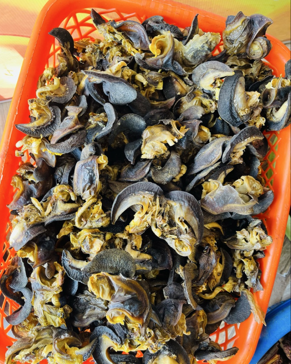 Ondo Bush Snails  47000 For 12 Pcs